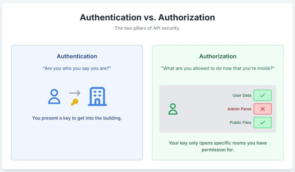 Authentication vs. Authorization in API security.